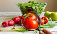 روز جهانی ایمنی غذا؛ نقش علم در تأمین غذای سالم و ایمن